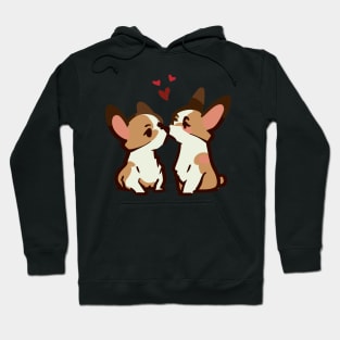 Two corgi dogs love Hoodie